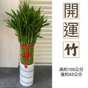 開運竹