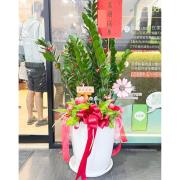 高雅祝賀盆栽 (B05)