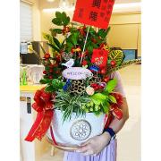 高雅祝賀盆栽 (B07)