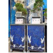 出租松柏(豎靈到告別式)