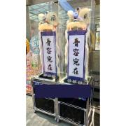 小站獅/靈獅 (20天)-花蓮