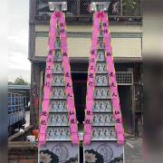 11層平安米塔(搭空盒300克*180包...