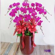 10株蘭花(粉)