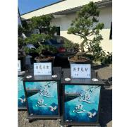 松柏出租(14天)