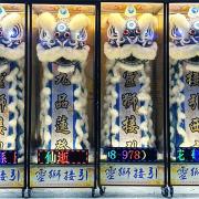 270cm靈獅(28天)