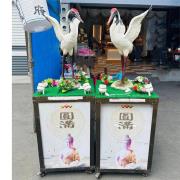 小型仙鶴 (14天)