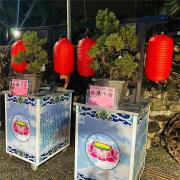 日式松柏(14天)