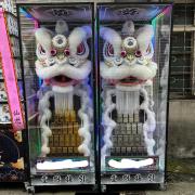 金銀條靈獅 (14天)