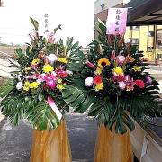 高架花藍A01