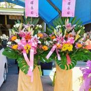 高架花藍A01