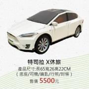 特司拉 X休旅