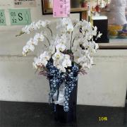 10株白色蘭花
