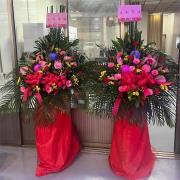 高架花籃(B12款)