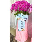 大型水母蘭花盆(粉色買斷)