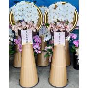 租用日光燈蘭花