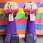 租用光圈蘭花(彰化,嘉義/2對出貨)