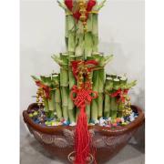 桌上型開運竹02