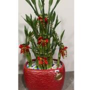 桌上型開運竹03