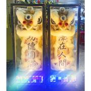 165cm 小站獅(14天)
