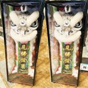 150CM小站獅 /靈獅 (7天)