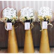 圓滿蘭花 (7天)(租用)