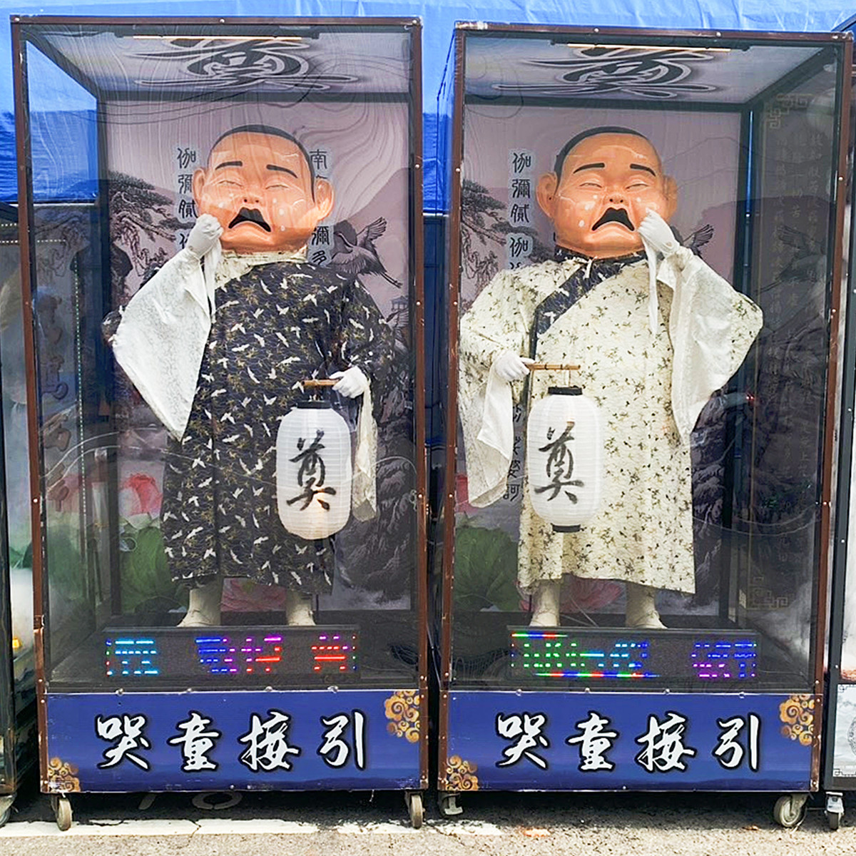 235cm 哭童(安靈14天)