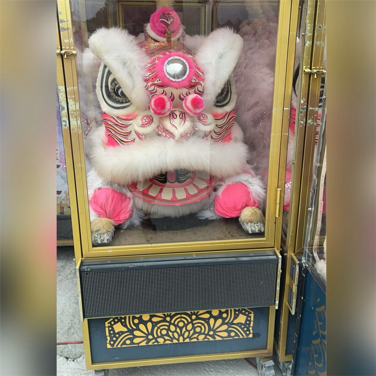 趴獅(安靈/14天內)