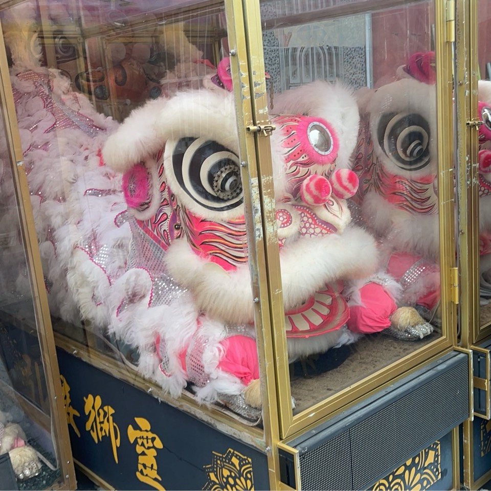 趴獅(安靈/14天內)