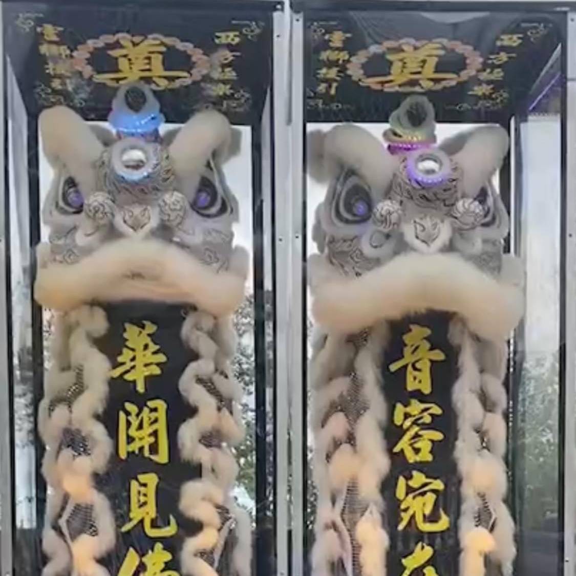 站獅(安靈/14天內)