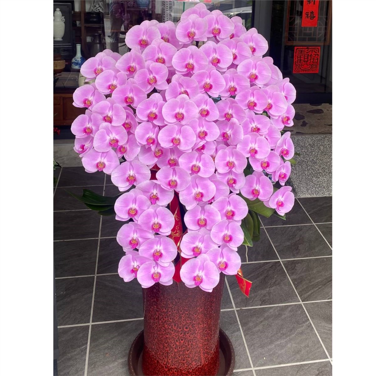9株蘭花