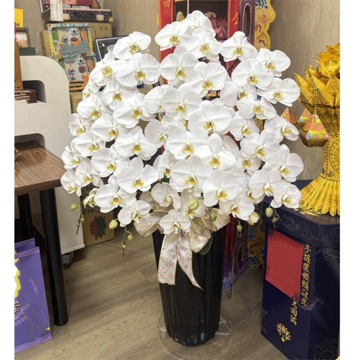 6株落地蘭花(白色)