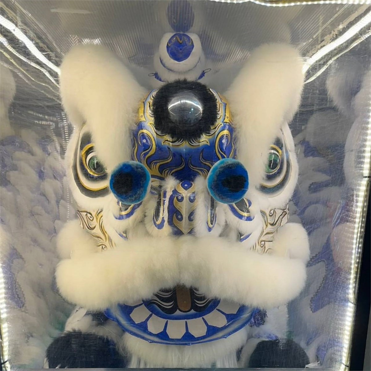 趴獅( 安靈/14天內)