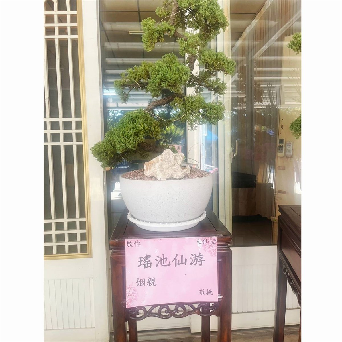 三對松柏盆景(豎靈到告別式)/租用-台中殯儀館