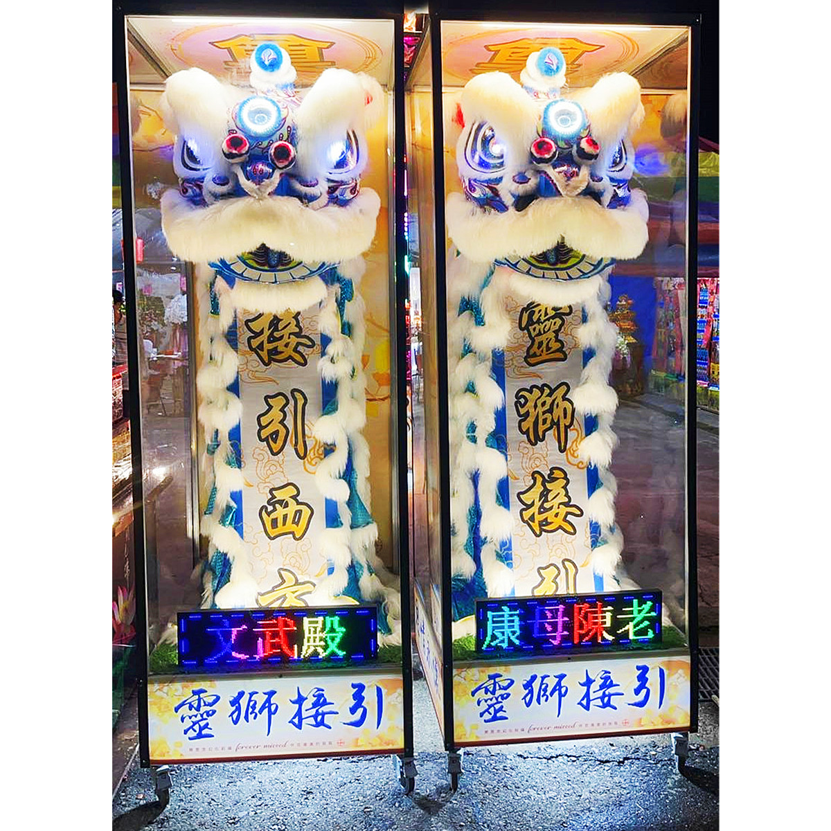 270cm靈獅(14天)
