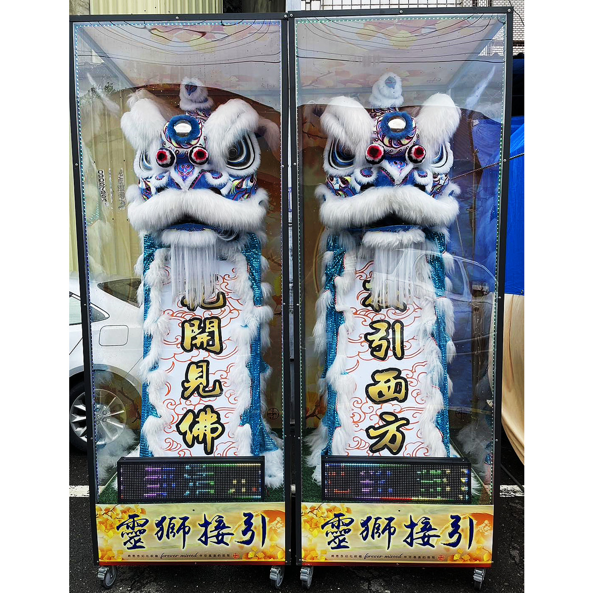 270cm靈獅(14天)