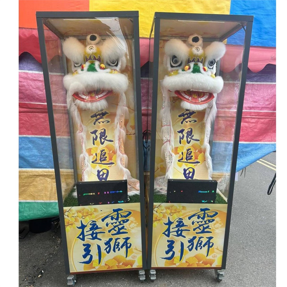 190cm靈獅(14天)