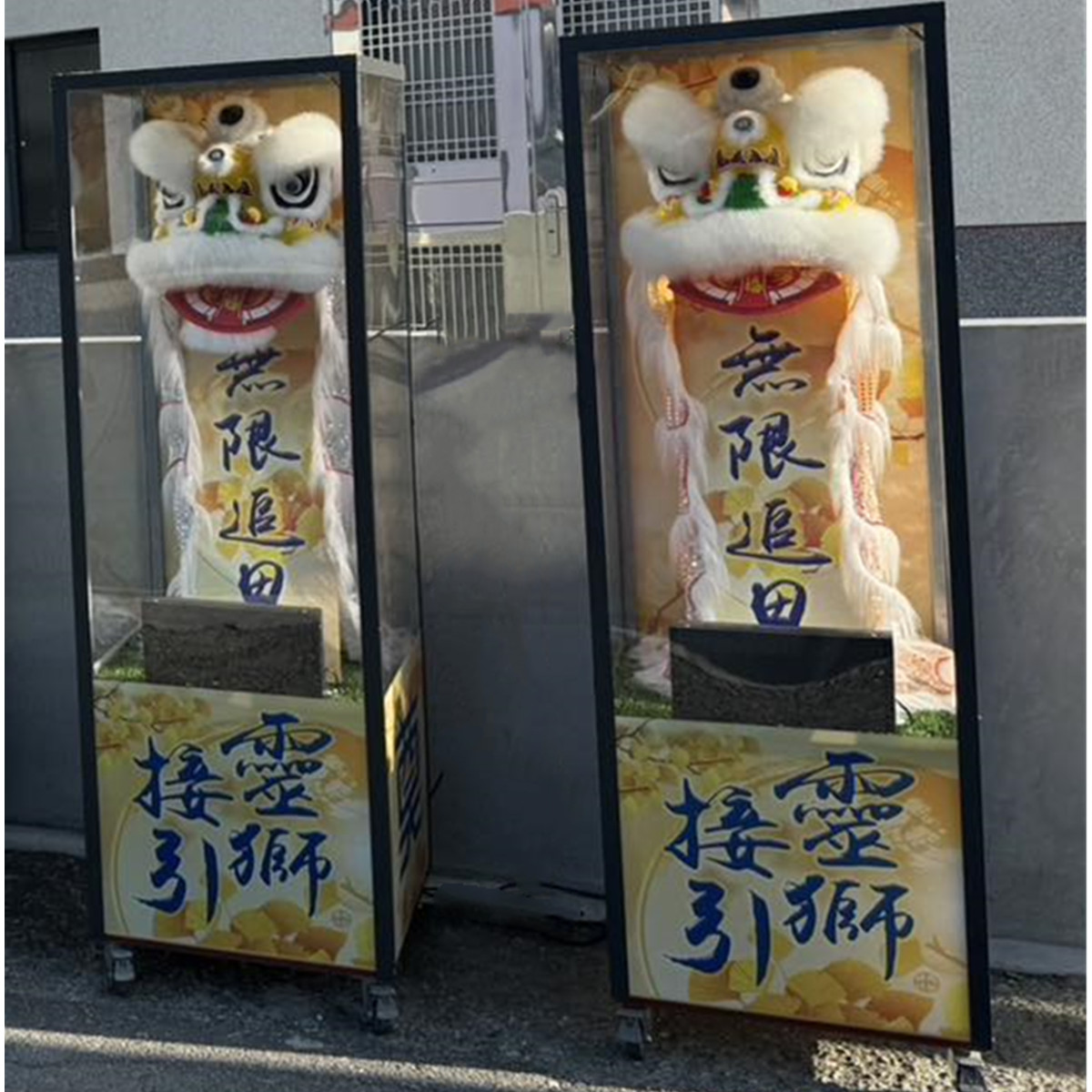 190cm靈獅(14天)