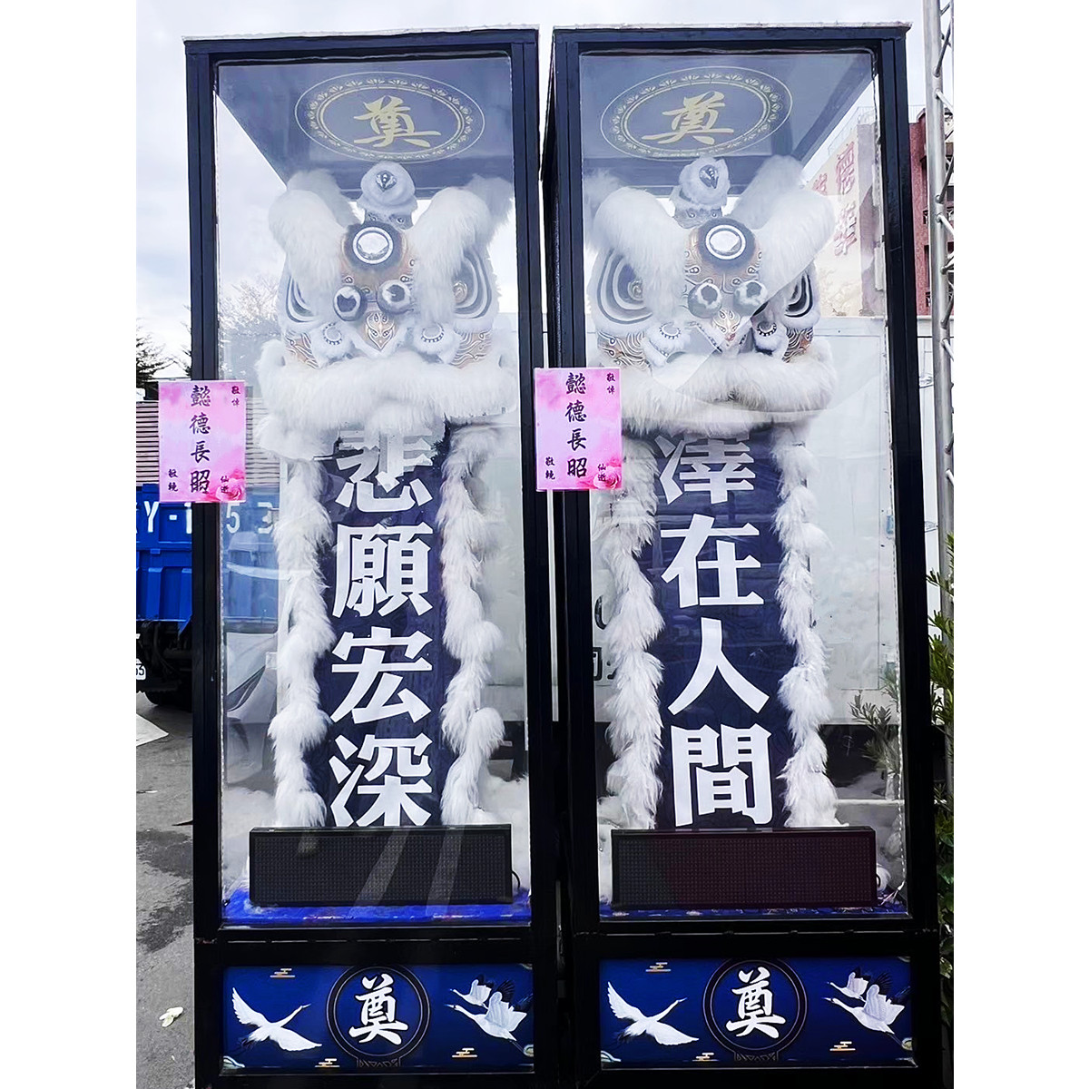 站獅/靈獅 (14天內)