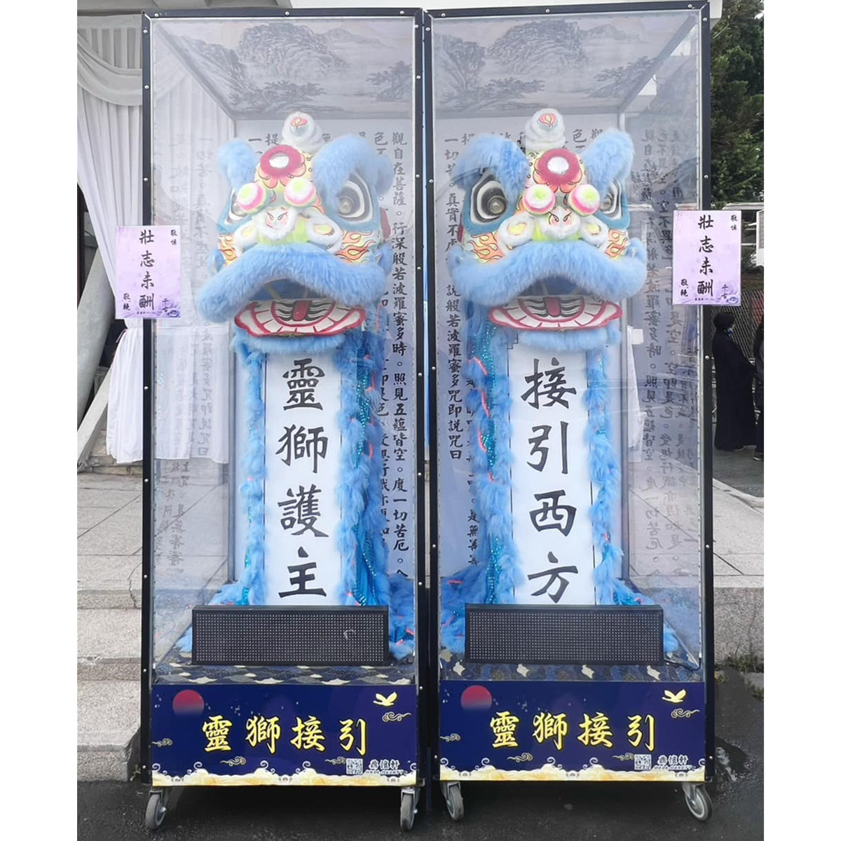 站獅/靈獅 (14天內)