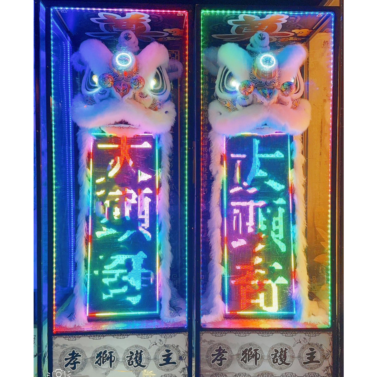 站獅/靈獅 (14天內)