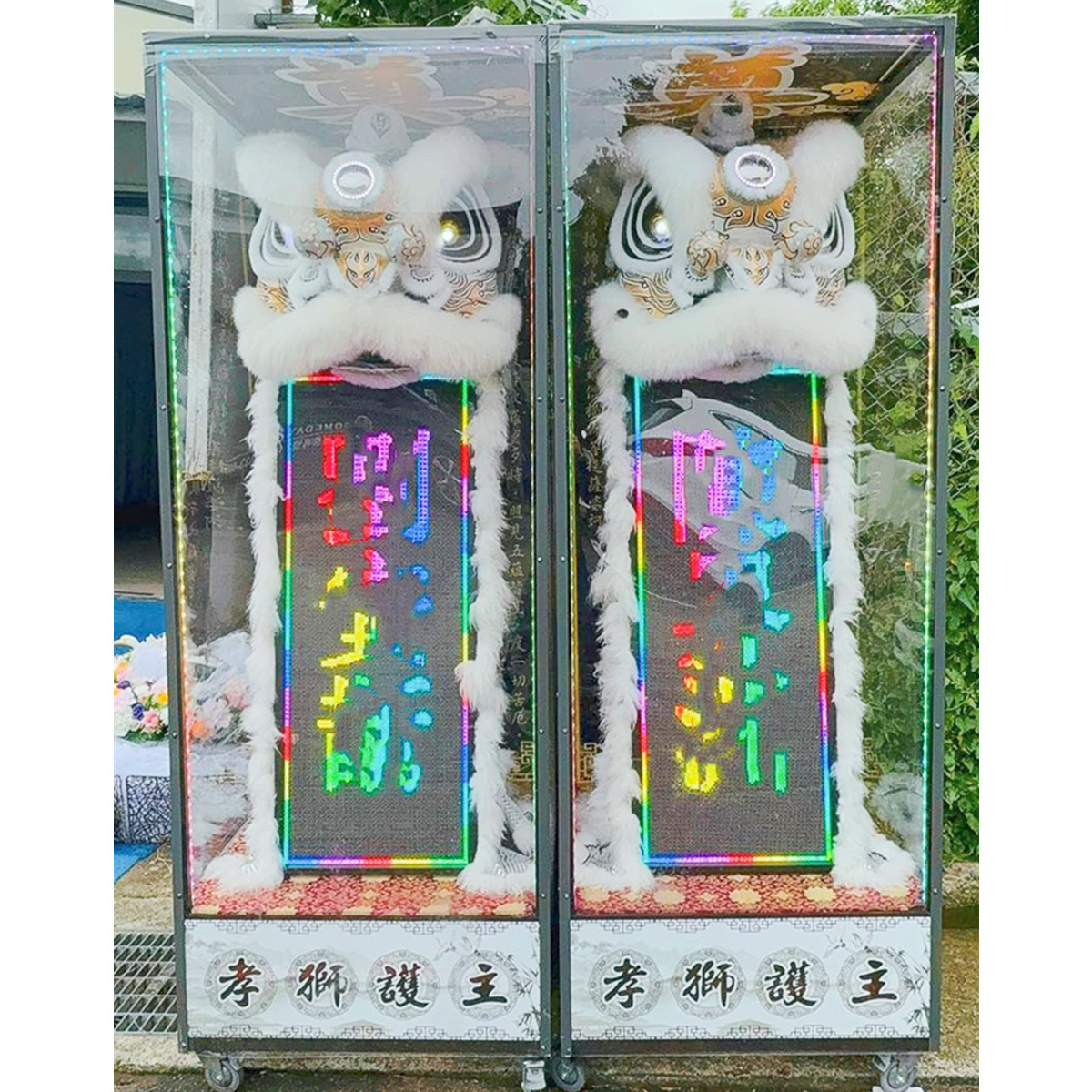 站獅/靈獅 (14天內)