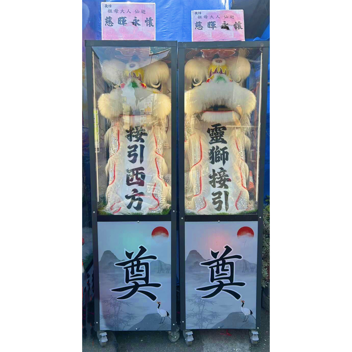 190cm 小靈獅 (14天內)