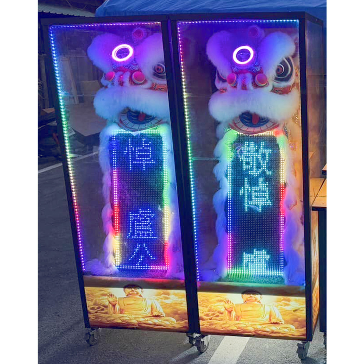 180cm 中型靈獅 (14天內)