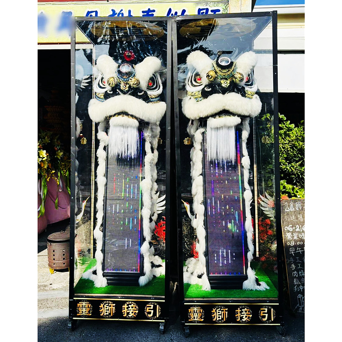 210CM站獅(14天內)