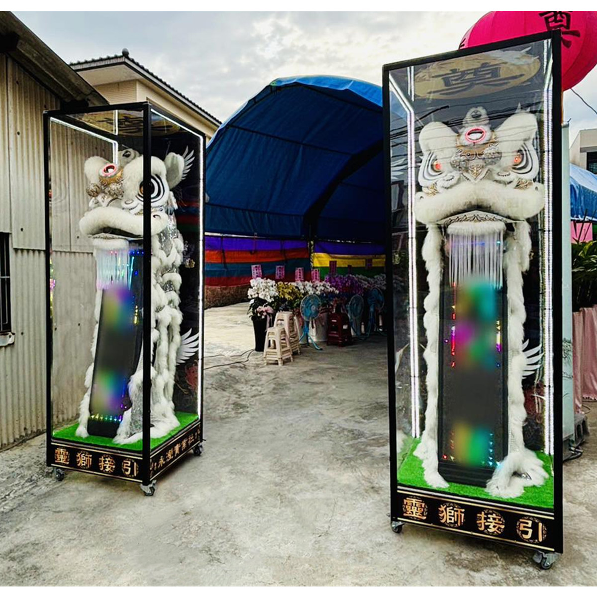 210CM站獅(14天內)