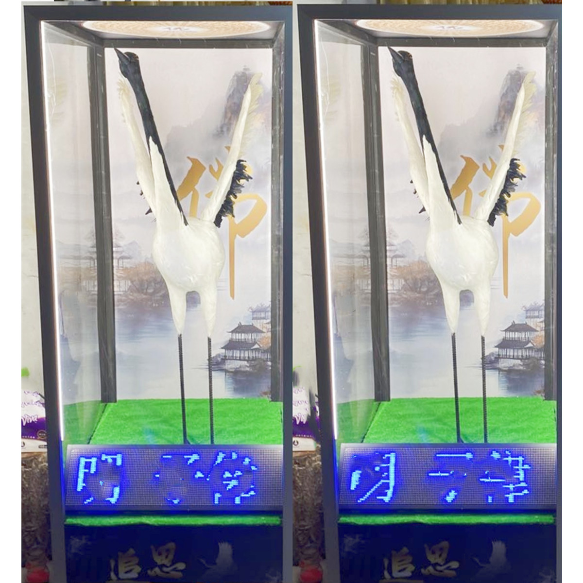 180cm 仙鶴 (安靈/14天內)